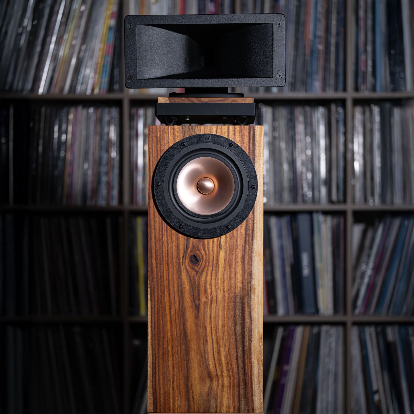 Horn X 2PRO Engine with Foundation Cabinet (PAIR)