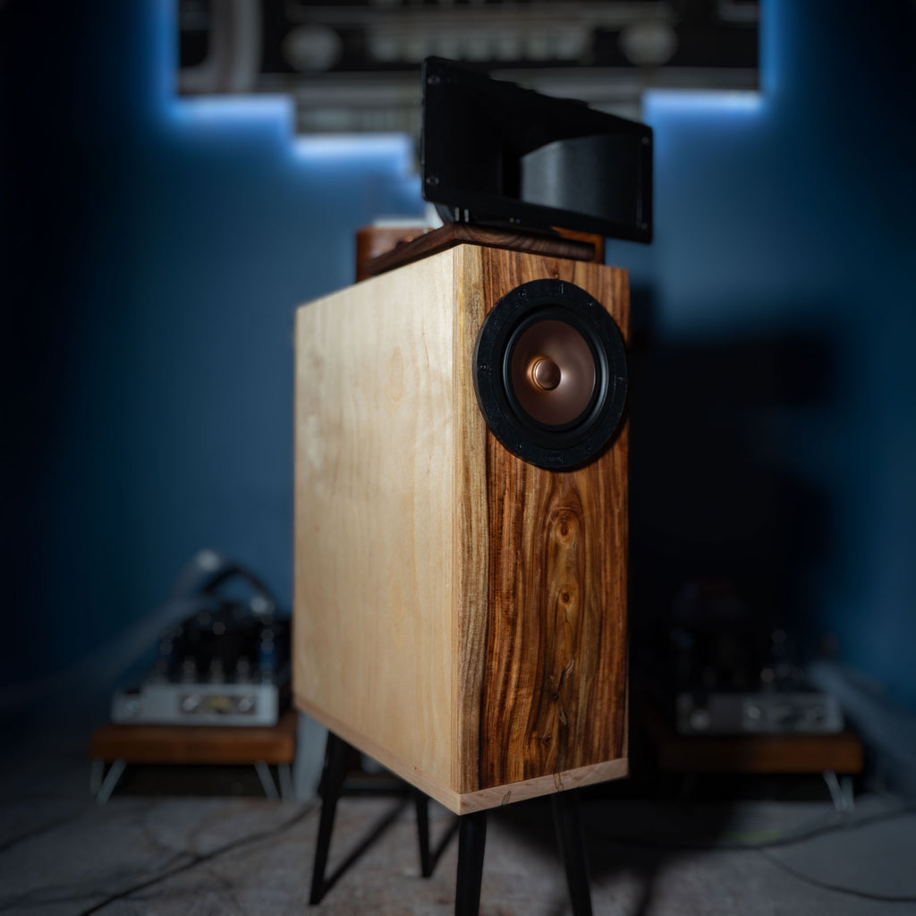 Horn X 2PRO Engine with Foundation Cabinet (PAIR)