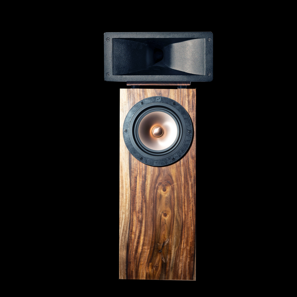 Horn X 2PRO Engine with Foundation Cabinet (PAIR)