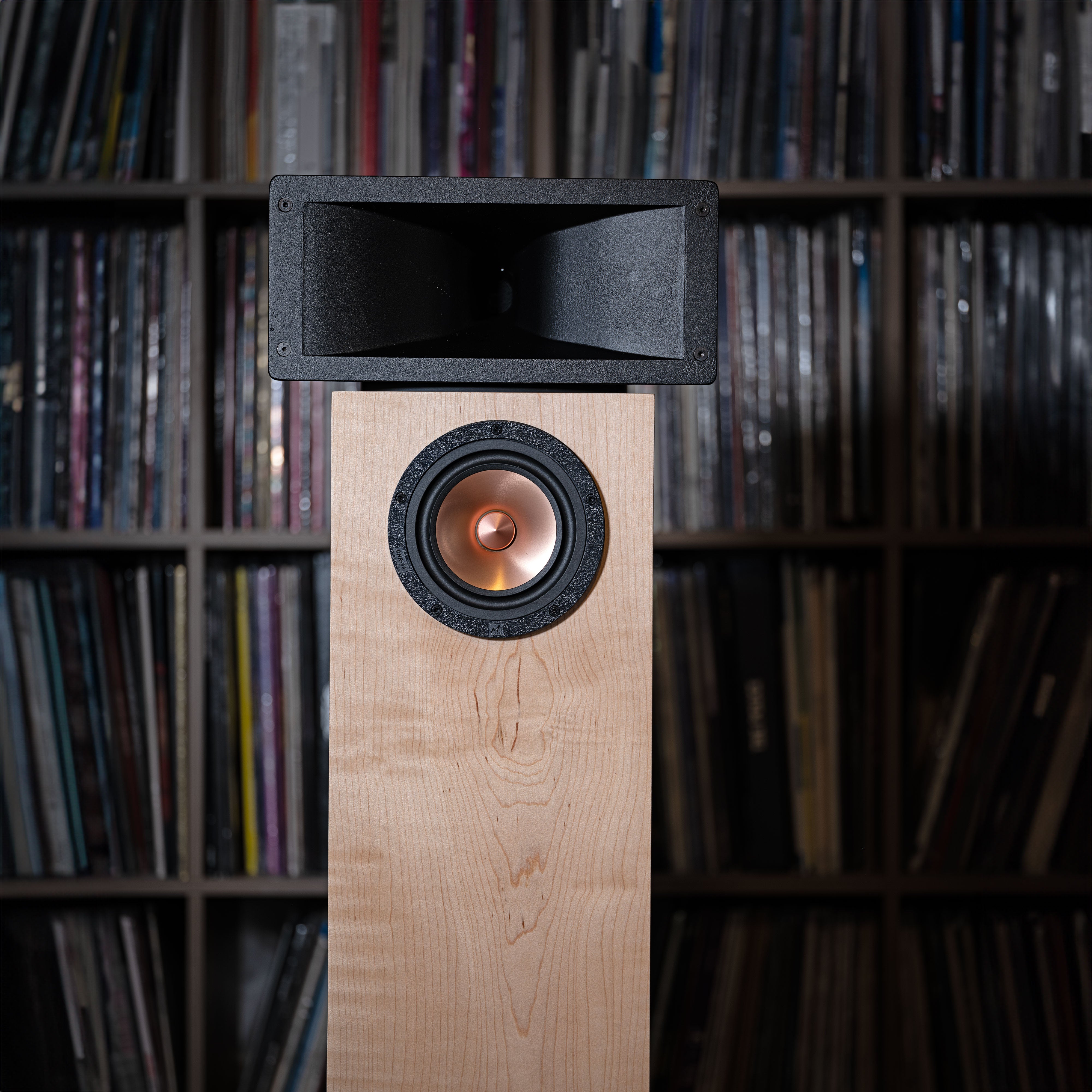 Hiro Junior (PAIR) – Shinjitsu Audio