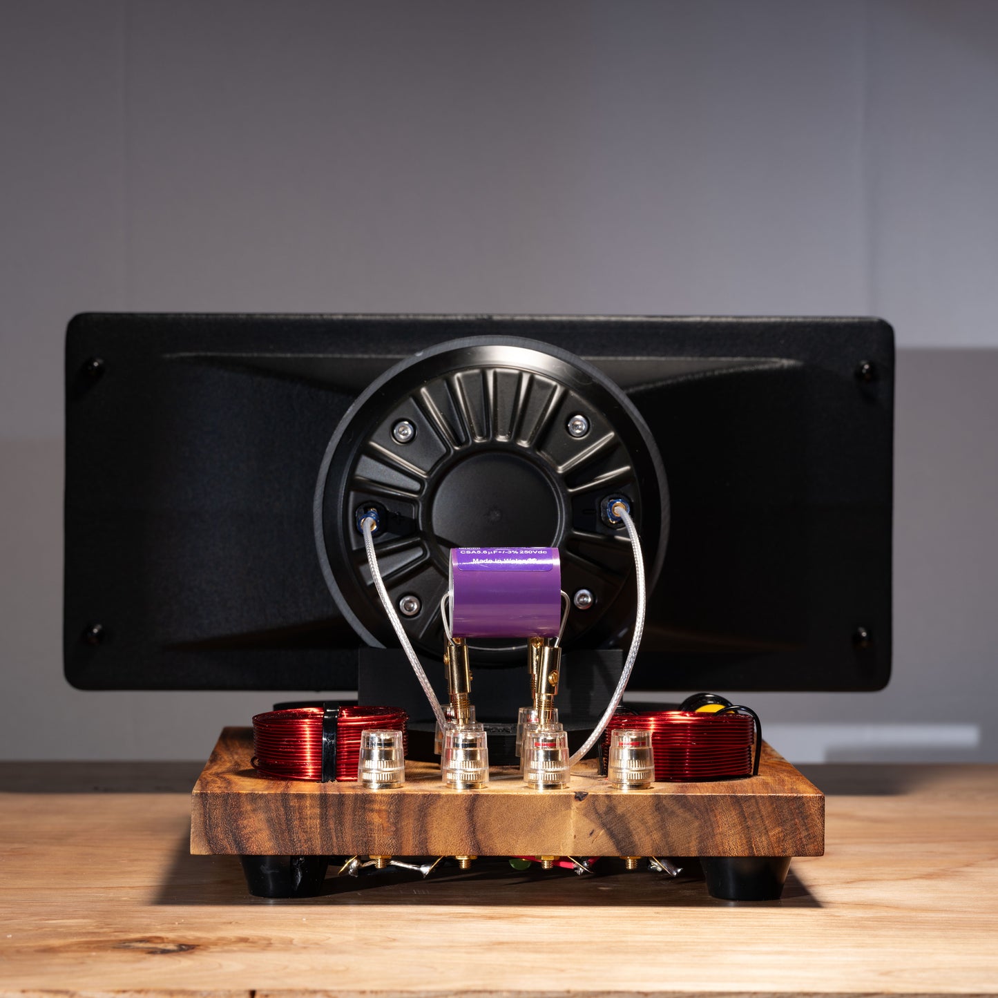Speaker Generator - The Complete Electronics Kit (2)