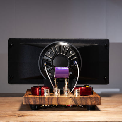 Speaker Generator - The Complete Electronics Kit (2)