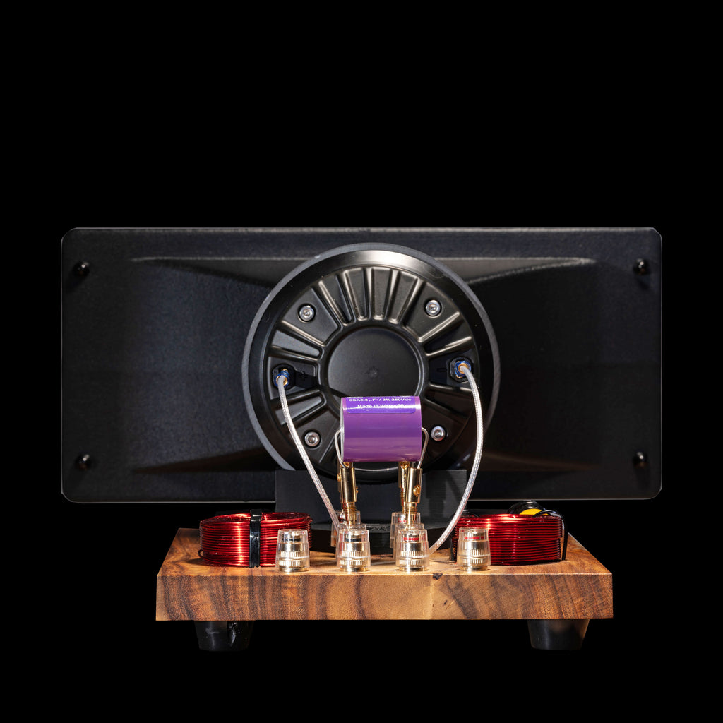 Upgrade your existing Horn 2, Horn 2 PLUS 2 or Horn X2 to the new PRO model (PAIR)