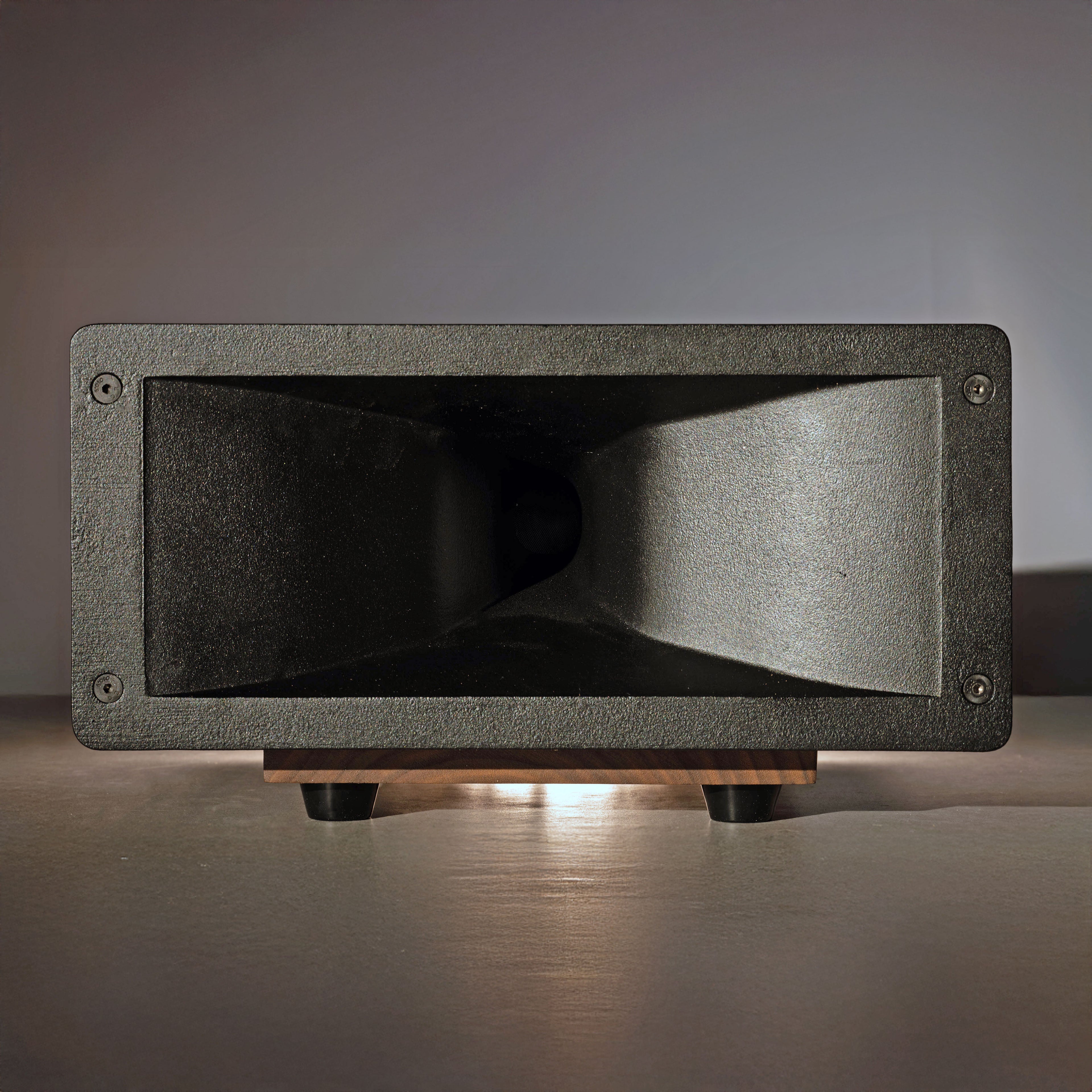 Upgrade your existing Horn 2, Horn 2 PLUS 2 or Horn X2 to the new PRO model (PAIR)