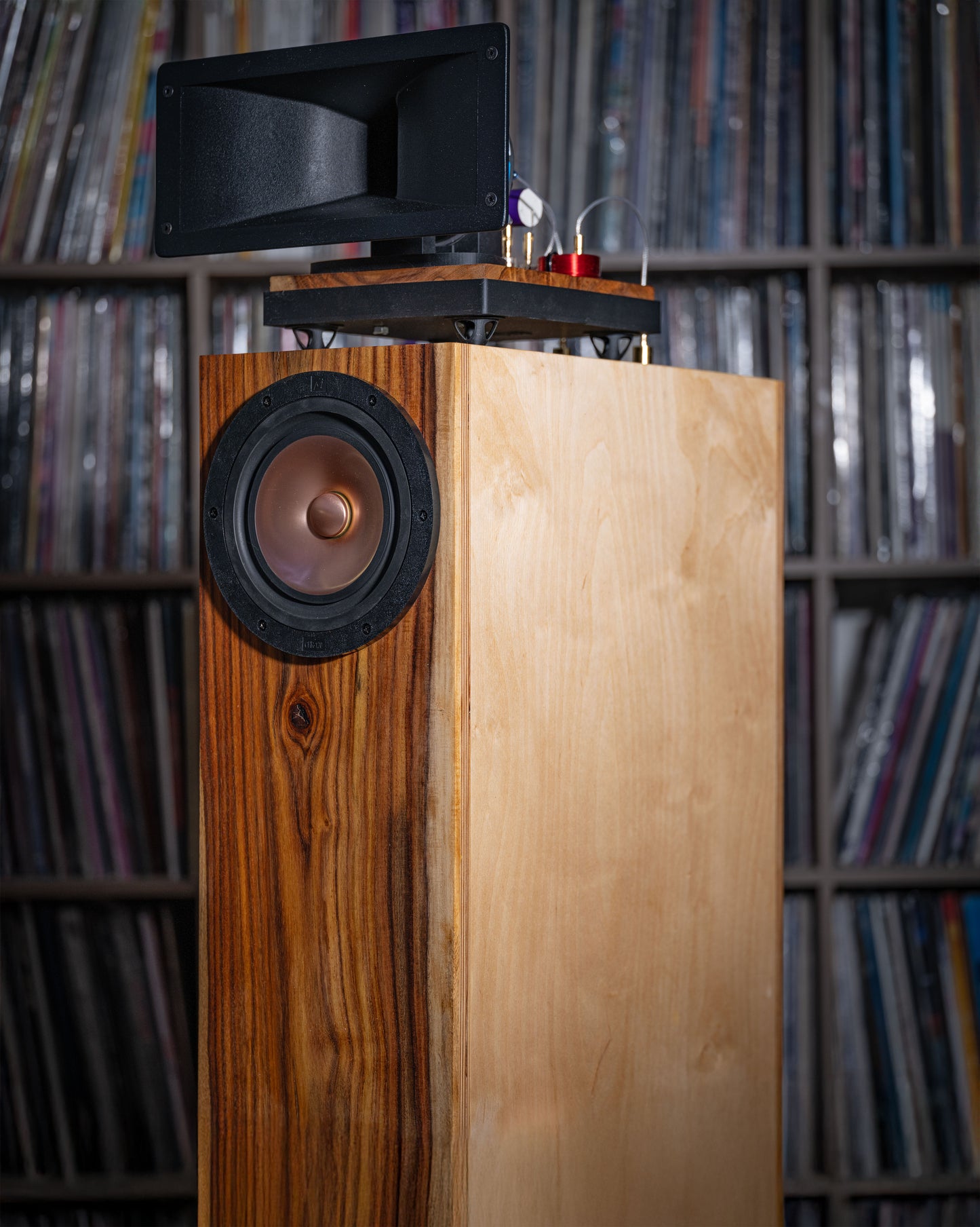 Horn X 2PRO Engine with Foundation Cabinet (PAIR)