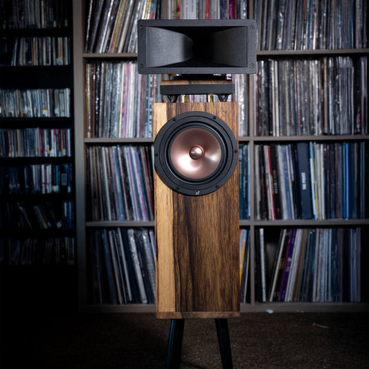 Horn X 2PRO Engine with Foundation Cabinet (PAIR)