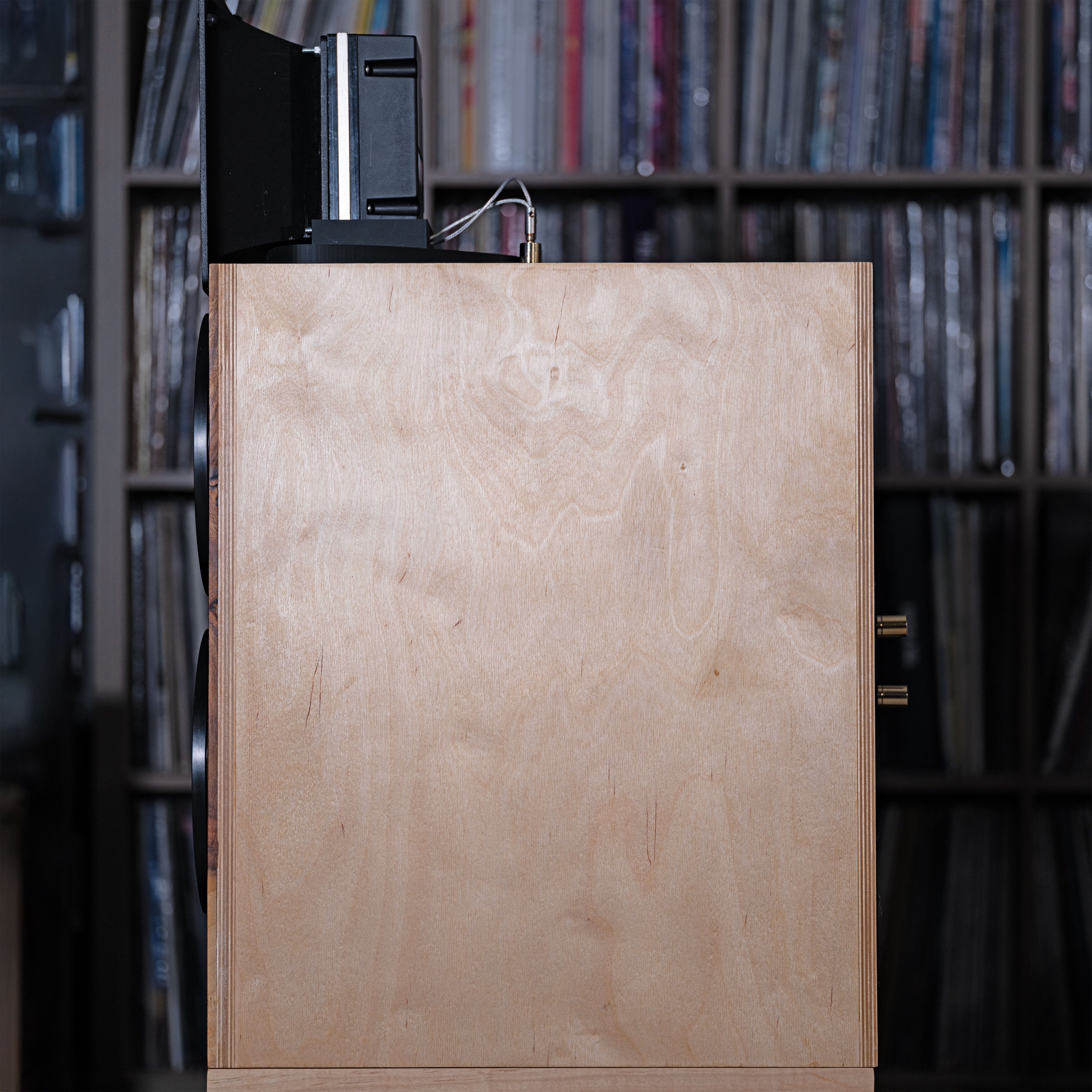 Crane Commander Speaker (pair)