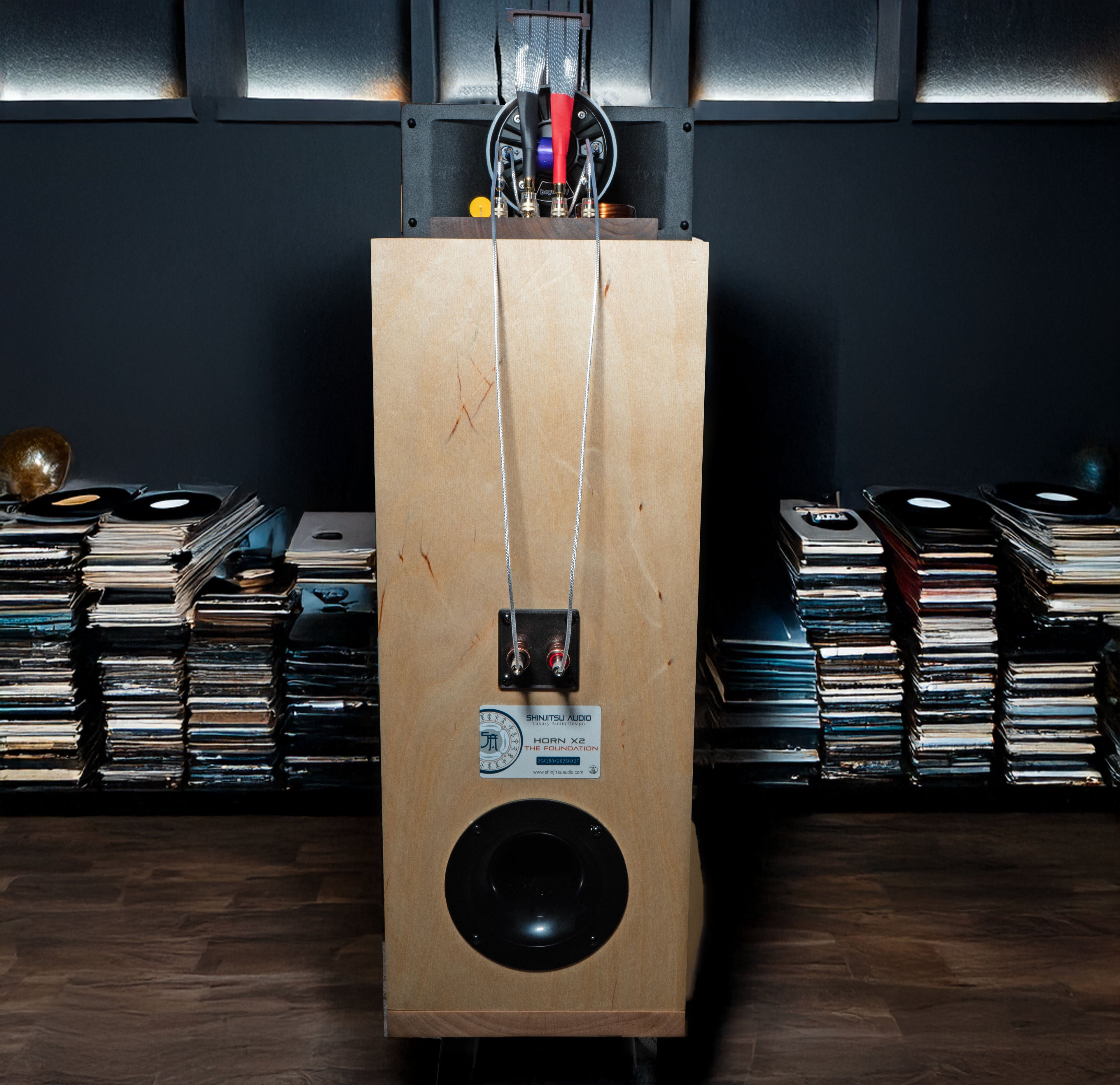 Horn X 2PRO Engine with Foundation Cabinet (PAIR)