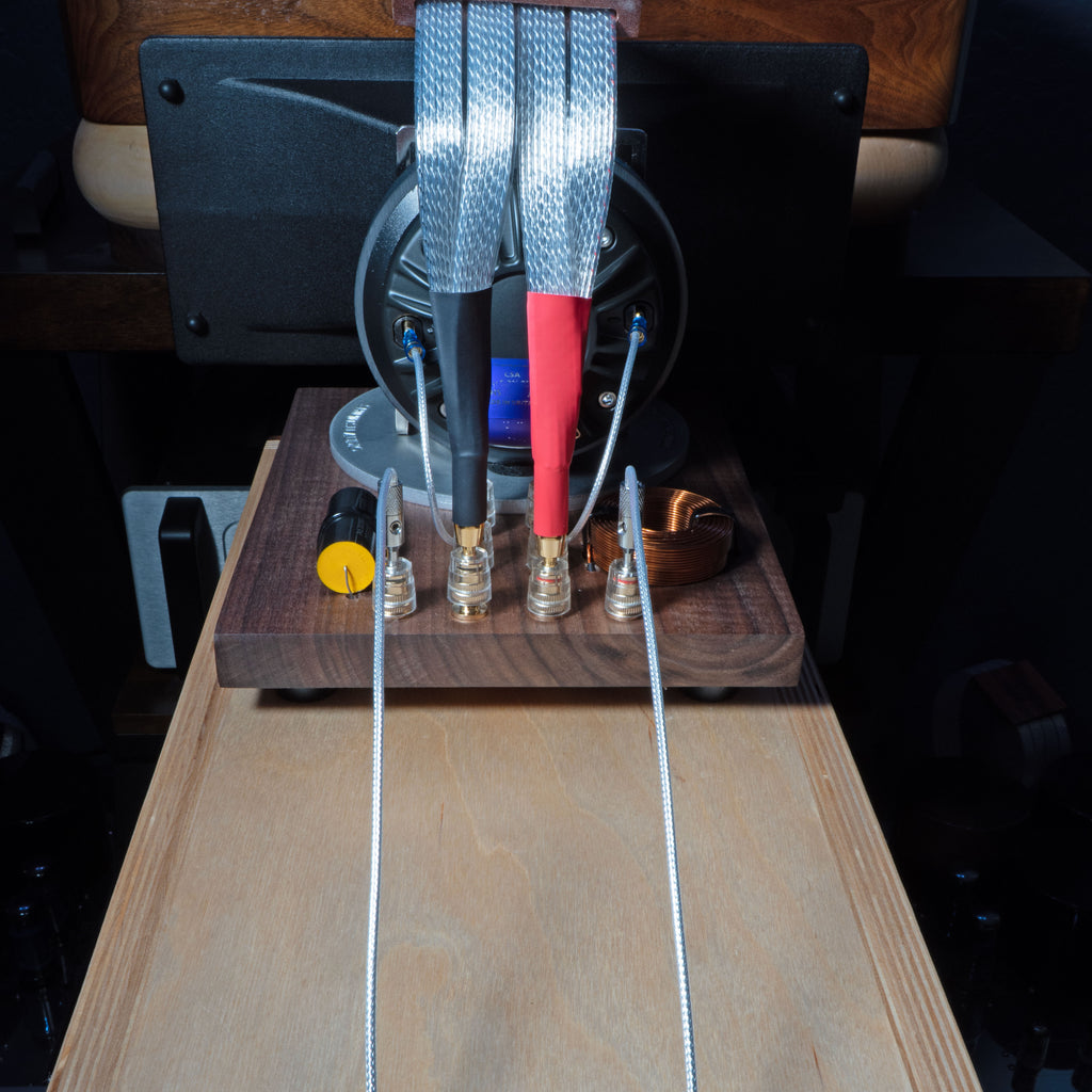 Horn X 2PRO Engine with Foundation Cabinet (PAIR)