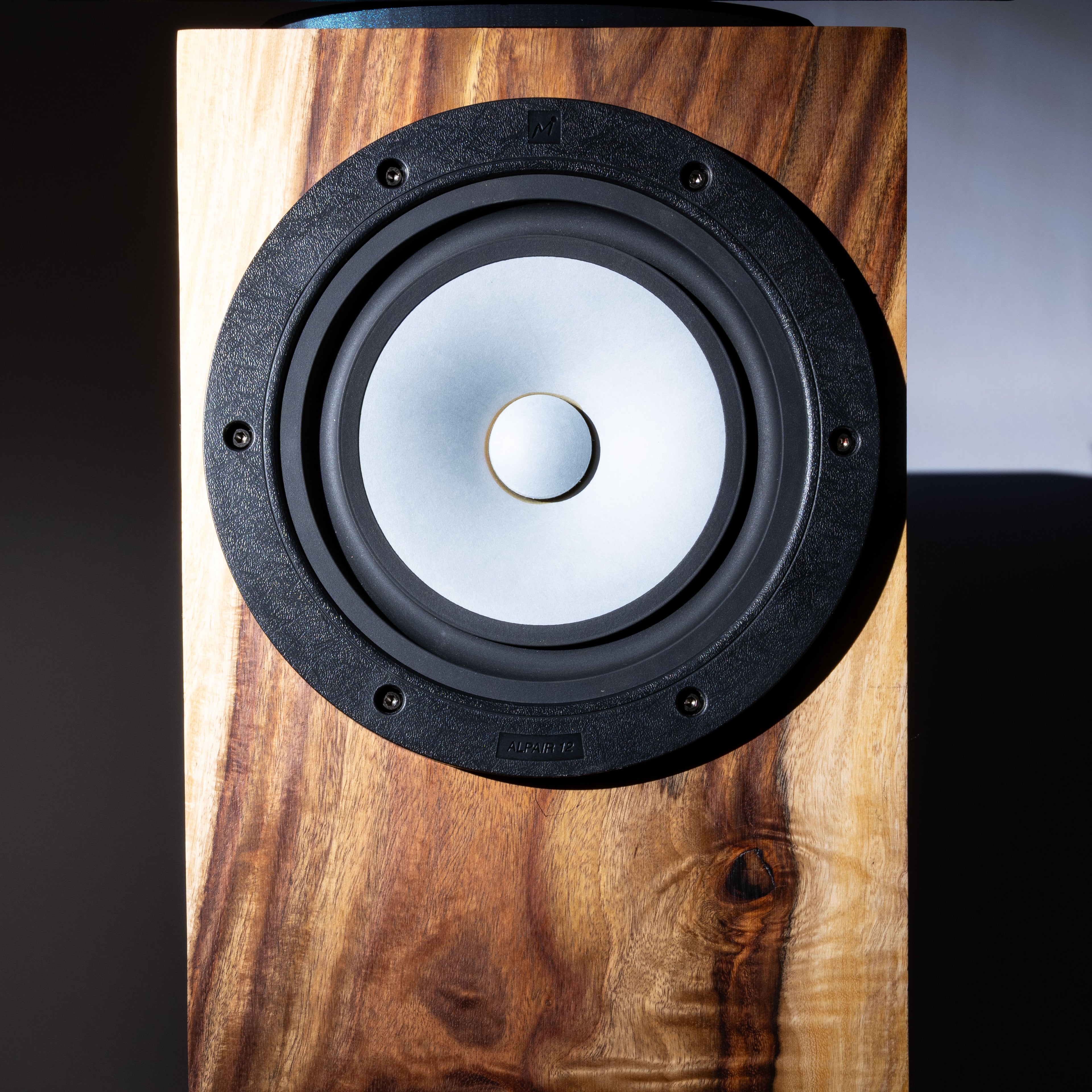 Lantern Speaker (pair)