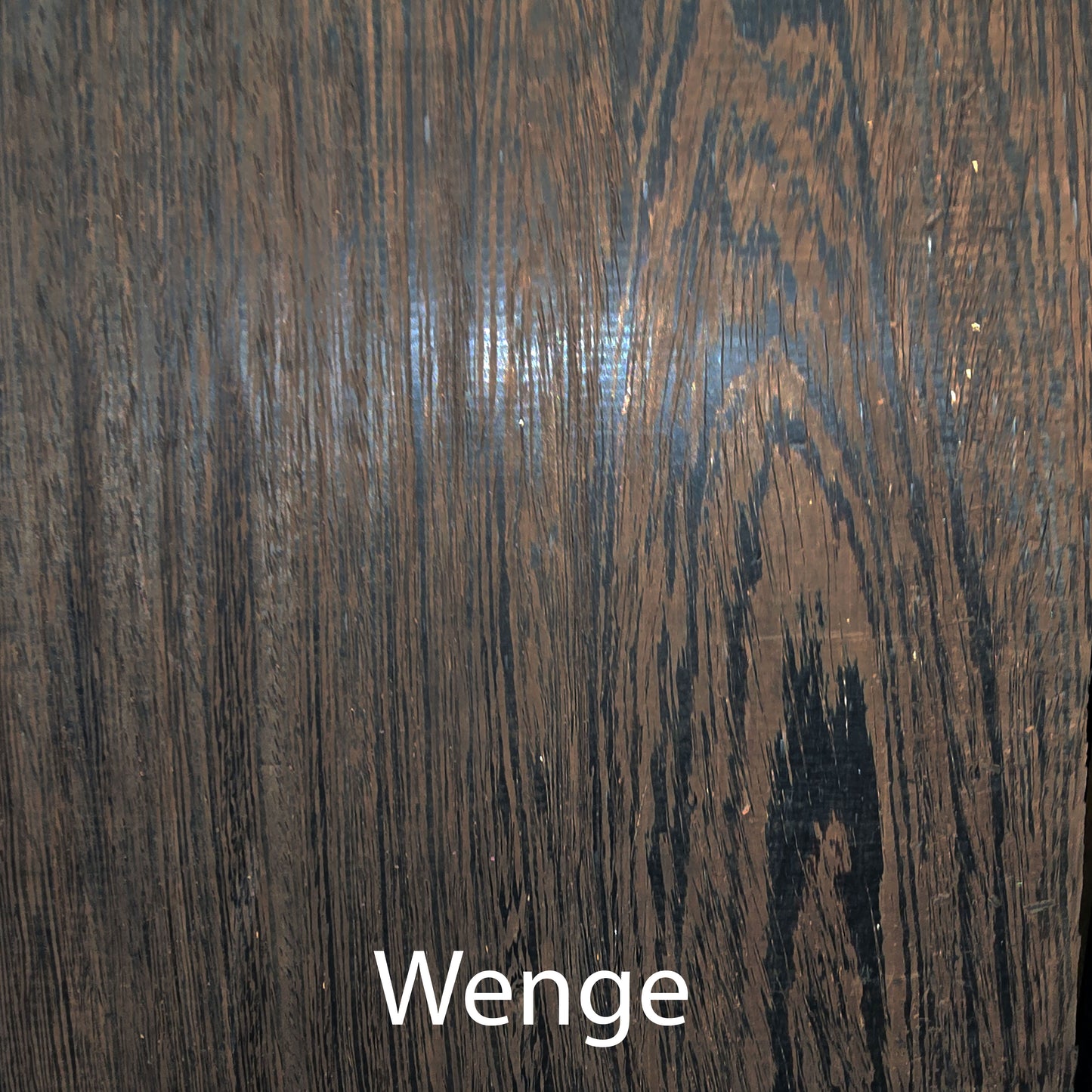 Shinjitsu SA12 High Sensivity Large Format Speaker