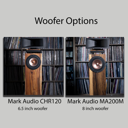 Horn X 2PRO Engine with Foundation Cabinet (PAIR)